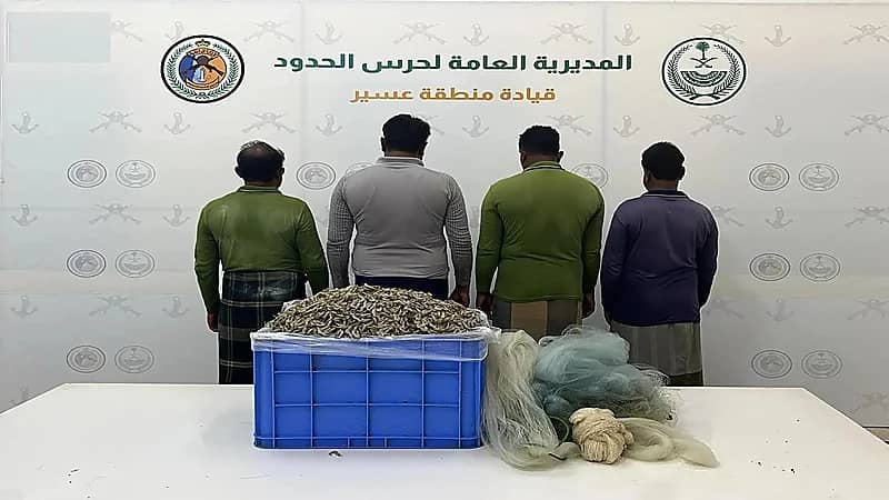 ضبط 4 مقيمين مخالفين للائحة الأمن والسلامة لمزاولي الأنشطة البحرية