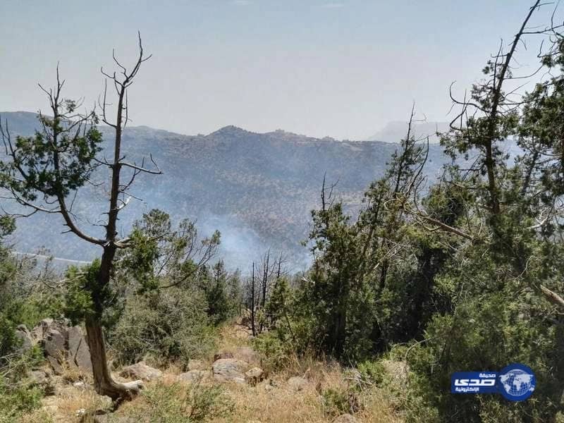 السليمان لرئيس وزراء لبنان:"روق يا ميقاتي وأهديك هالأغنية" "فيديو"