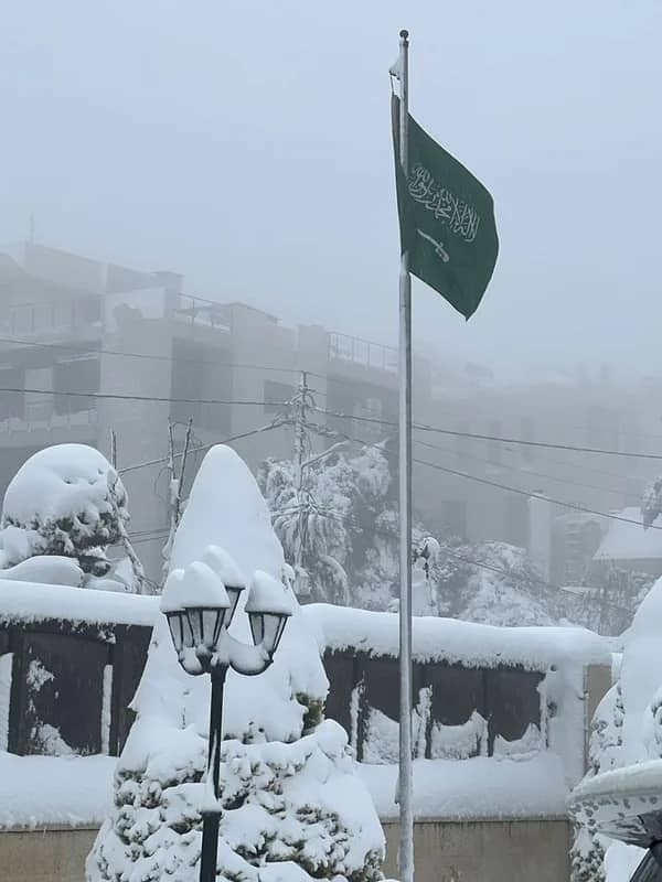 استرداد 3 مركبات استخدمت في السطو على منازل وسرقتها بالرياض