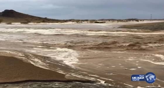 التركي: لا نستهين بتهديدات داعش للدعاة والعلماء ونعمل على محاصرتها