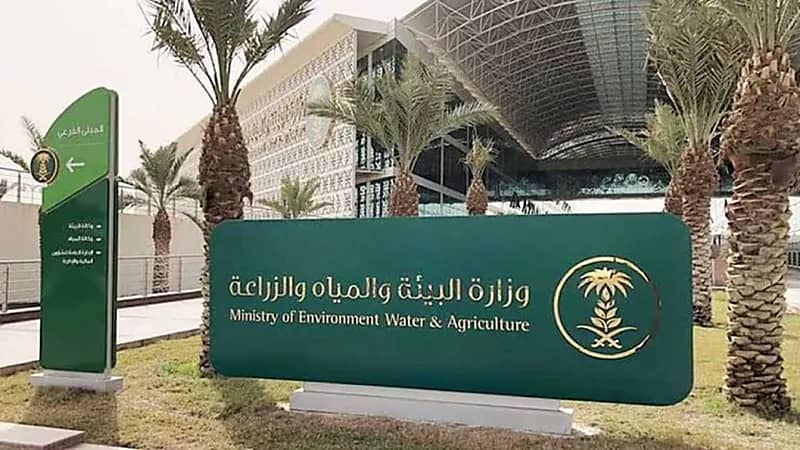 تنفيذ جولات رقابية مكثفة على أسواق ومنافذ النفع العام