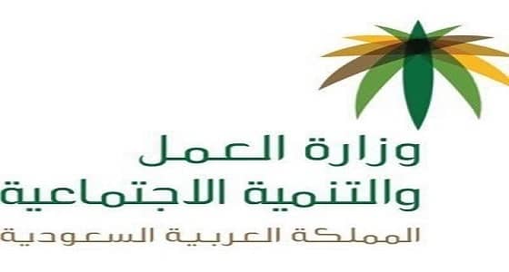 " العمل " بمكة المكرمة تضبط 4 آلاف مخالفة لقرارات التوطين والتأنيث