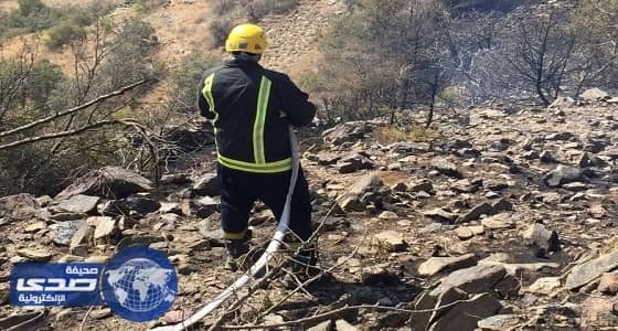 بالصور.. مدني الطائف يسيطر علي حريق استمر 5 ساعات في أشجار جبال قريع