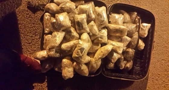 بالصور.. إحباط محاولة تهريب 200 ألف حبة مخدرة داخل شاحنة