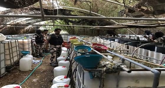 القبض على 3 يمنيين بتهمة تصنيع الخمور في " الشرقية "