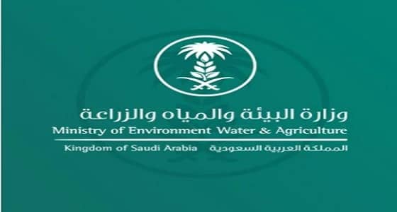 " البيئة " توضح حقيقة فرض رسوم على النخيل والمواشي