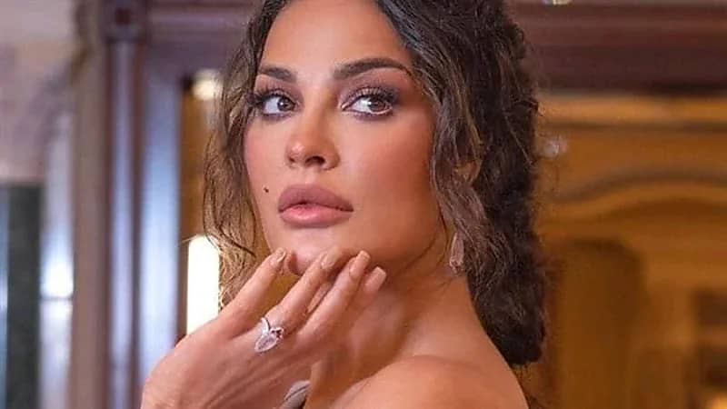 شاهد...نادين نسيب تتألق في أحدث ظهور لها من داخل السيارة