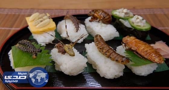 غذاء المستقبل سيتألف من الطحالب والحشرات