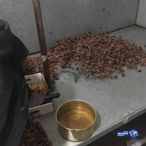 بالفيديو.. أسرة سعودية تكشف سر نجاحها في مجال ميكانيكيا السيارات