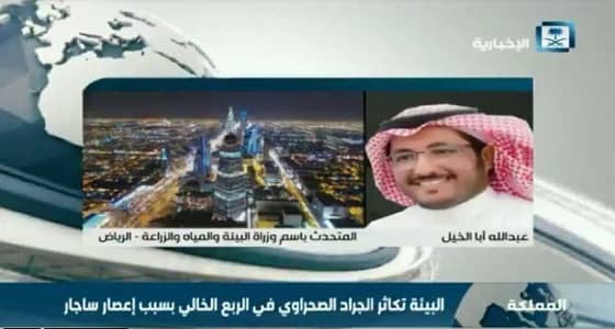 بالفيديو.. البيئة: مكافحة الجراد بالمبيدات الحشرية ونحذر من تناوله