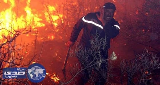 حرائق الجزائر تقضي على مساحات شاسعة من الغابات