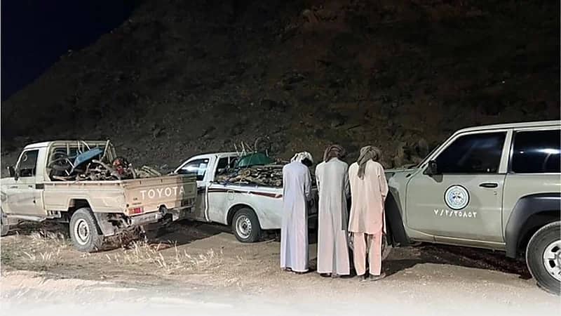 ضبط 3 مواطنين لقطعهم الأشجار ونقل الحطب المحلي في نجران