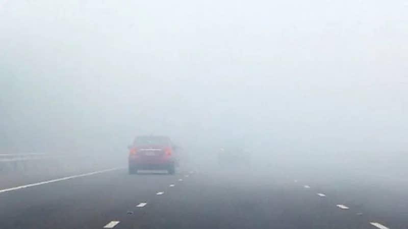 تنبيه من الأرصاد: ضباب على ينبع والرايس وينبع النخل