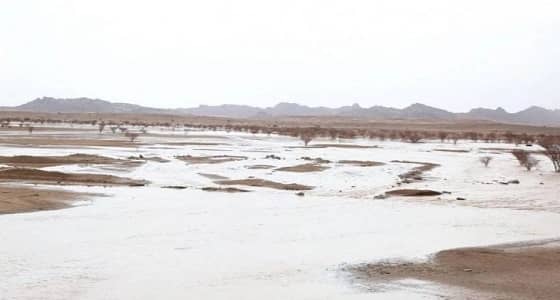 بالصور.. أمطار على محافظة بيشة ومراكزها