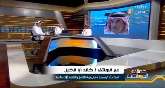 بالفيديو.. " العمل " توضح الفرق بين الوزارة وهيئة توليد الوظائف