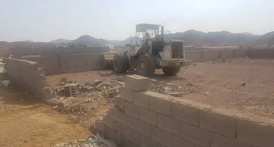 بالصور.. إزالة عدد من الأحواش ومزرعة بالمدينة