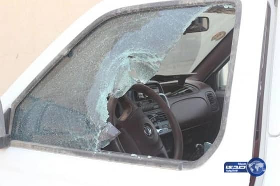 بالصور..وجبة عشاء بنكهة الذباب يقدمها مطعم شهير بالمدينة المنورة