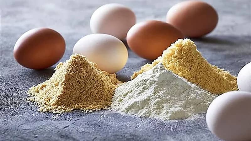 طرح "البيض البودرة" في الأسواق المصرية يثير السخرية على مواقع التواصل