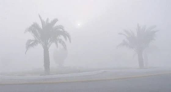 الأرصاد: ضباب كثيف وانعدام الرؤية الأفقية على المنطقة الشرقية