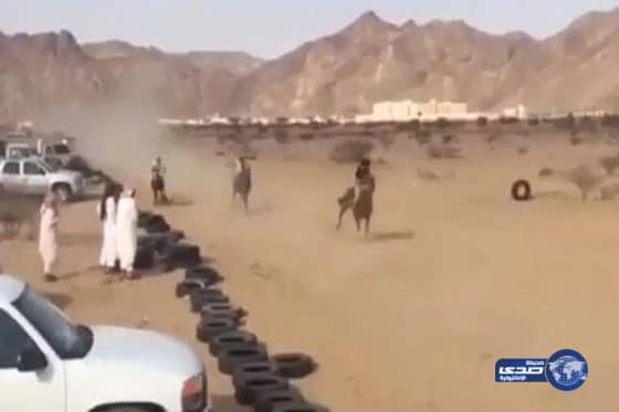 شاهد.. فارس ينحرف بحصانه عن السباق ويصطدم بسيارة متوقفة