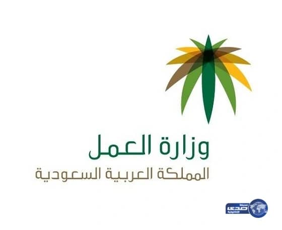 مصدر بوزارة العمل: لا صحة لزيادة رسوم نقل الكفالة