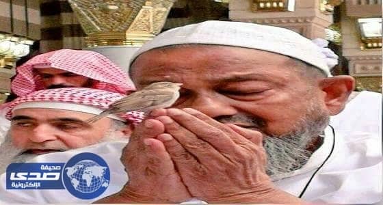 مشاهدة قياسية لصورة مصلي بالحرم