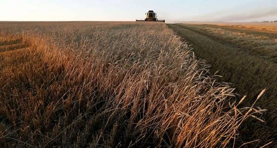 مفاوضات بين إيران وروسيا بشأن تصدير القمح للعراق