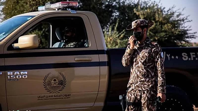 القبض على 3 مواطنين مخالفين للأمن البيئي بالمدينة المنورة