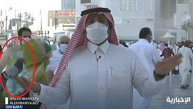 شاهد.. حمامة تحط على يد مراسل الإخبارية في سلام ببيت الله الحرام