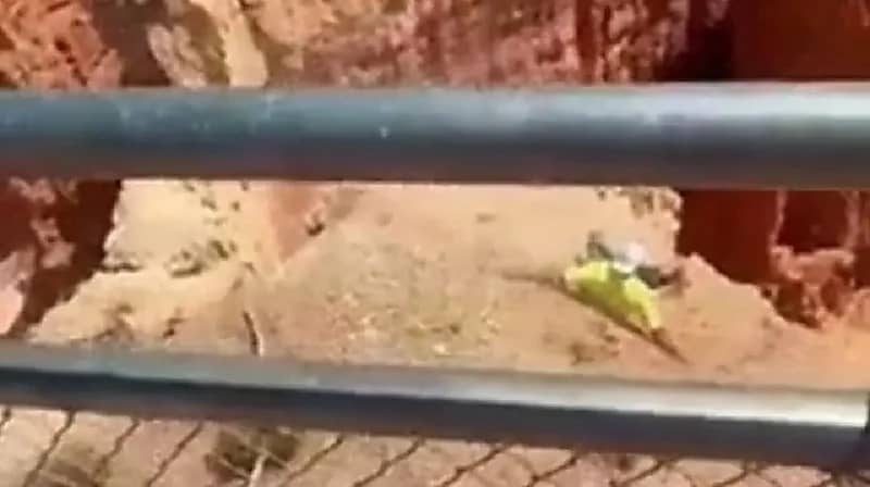 لقطات تحبس الأنفاس لمغامر كاد يسقط من حافة على ارتفاع شاهق .. فيديو