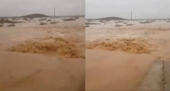 بالفيديو.. تدفق السيول غرب البجادية وتوقعات بتوسع الحالة المطرية