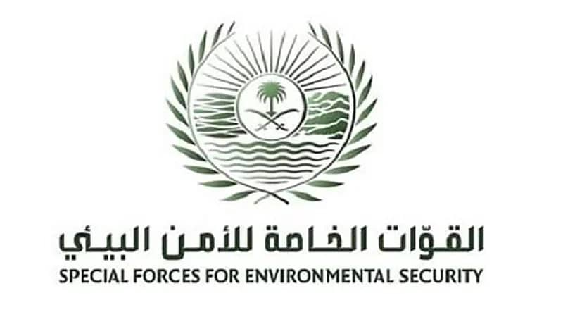 ضبط مواطن لارتكابه مخالفة رعي 19 متناً من الإبل في مواقع محظور الرعي