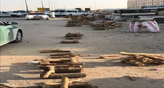 زراعة الرياض تضبط ٤٨ طناً من الحطب المحظور