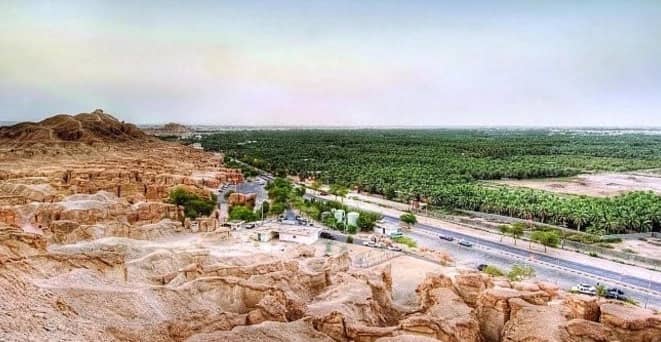 هيئة السياحة تسلم ملف " واحة الأحساء " لليونسكو نهاية الشهر الجاري