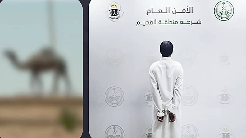 الإطاحة بمواطن لإتلافه ممتلكات عامة والعبث بها بالقصيم ..فيديو