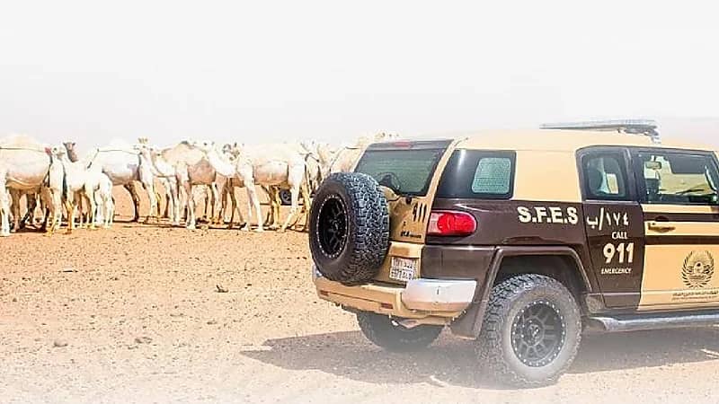 ضبط 14 مخالفًا لنظام البيئة لارتكابهم مخالفات رعي