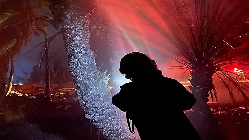 صور..إندلاع حريق في قرية الديسة بتبوك