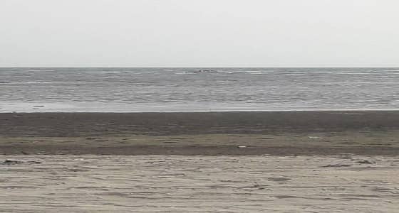 انتحار شخص في البحر بصامطة