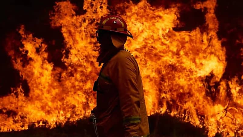 ‎دراسة تتنبأ بعدد الموتى والإصابات في حرائق المناخ بحلول 2100