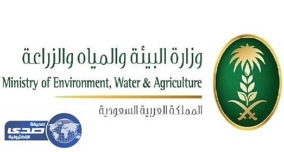 البيئة تنسق مع الجهات الأمنية لضبط شاب يقتل القطط ببندقية صيد