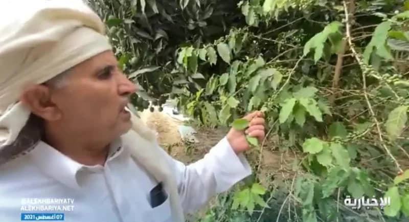 " يحيى " يعيش علي الحدود بين المملكة واليمن ويكشف عن مميزات لا تتوفر في الدول المتقدمة