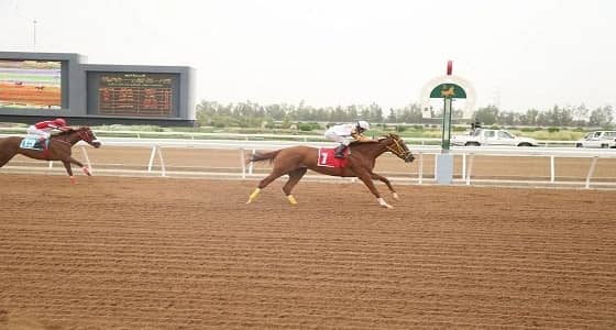الخميس.. حفل سباق الخيل الـ14 على كأس وزارة الخارجية بجدة