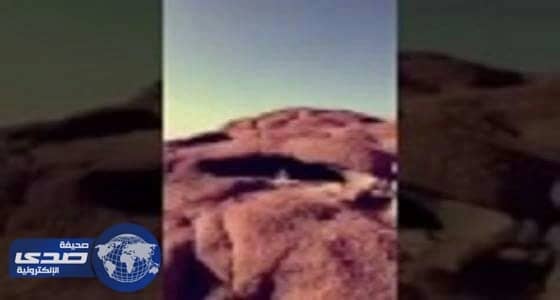 بالفيديو.. مواطن يرحم الطيور و الحيوانات في البر بهذه الطريقة