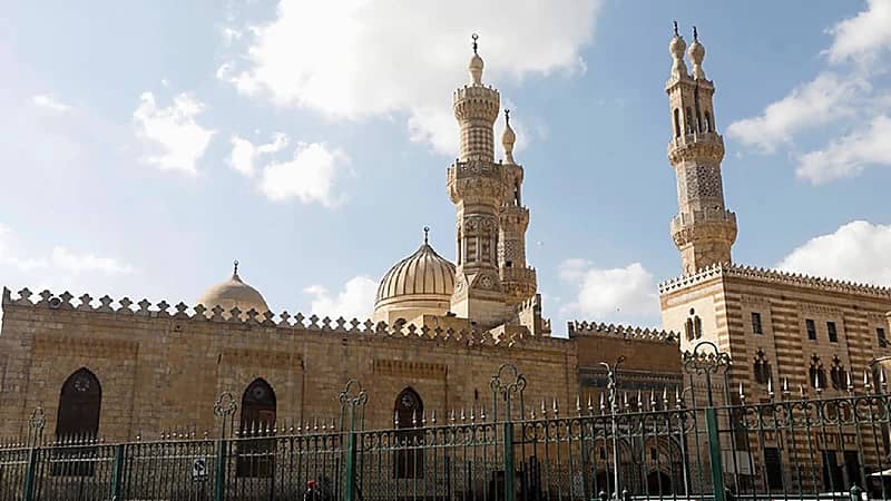 تعليق مفتي مصر الأسبق بشأن التداوي بأعضاء الخنزير