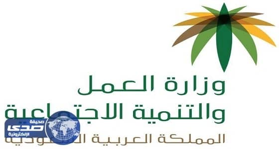 ⁠⁠⁠العمل والتنمية: زيادة العمالة 21ألف عامل للارشاد و 200مركز خلال ثلاث سنوات