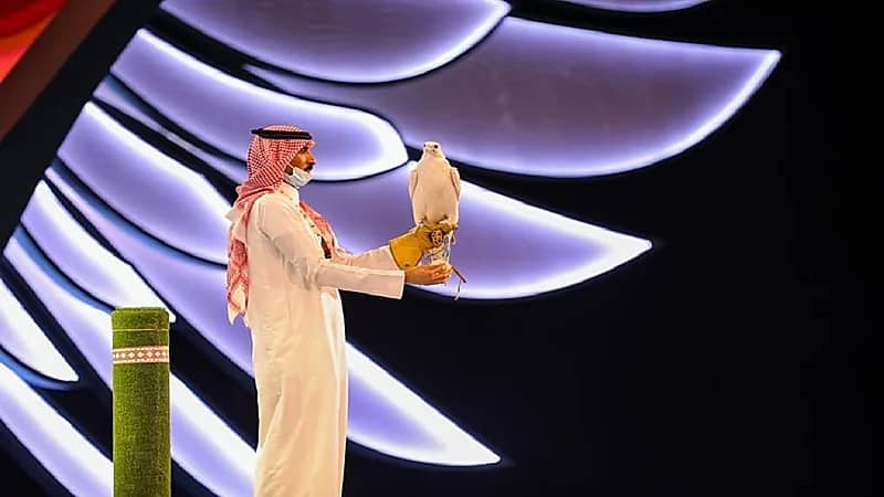 بيع صقر نادر الجمال بـ 350 ألف ريال