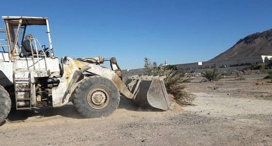 بالصور.. إزالة تعديات في طريق الهجرة بمساحة 35000 متر