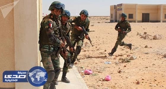 مصر.. القبض على تكفيري شديد الخطورة في سيناء