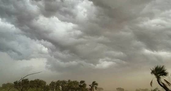الأرصاد تصدر تنبيهات لـ 10 مناطق بالمملكة