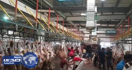 السماح للمطابخ بذبح الأضاحي خلال أيام التشريق